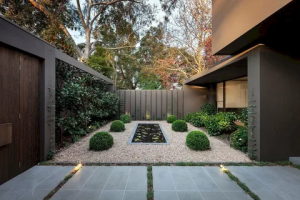 Exploring the Basics of Landscape Design for Your Outdoor Space